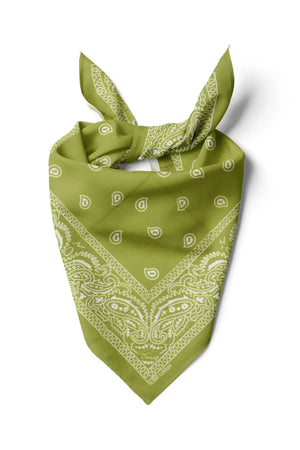 Yeşil Etnik Desen Bandana - Stil Sahibi Kadın Bandana Fular